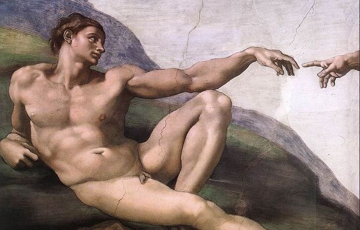 penisuri masculine în art)